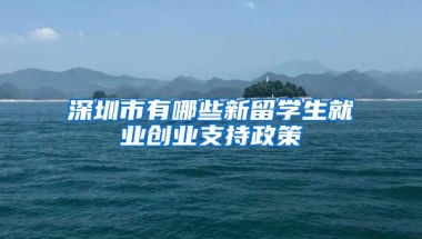 深圳市有哪些新留学生就业创业支持政策