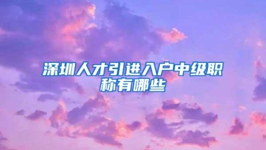 深圳人才引进入户中级职称有哪些