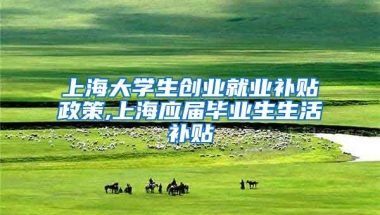 上海大学生创业就业补贴政策,上海应届毕业生生活补贴