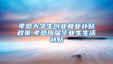 孝感大学生创业就业补贴政策,孝感应届毕业生生活补贴