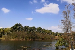 为什么越来越多的人重视博士毕业入户深圳了？