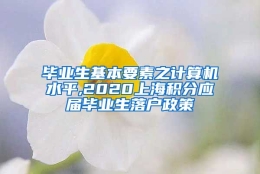 毕业生基本要素之计算机水平,2020上海积分应届毕业生落户政策