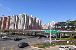 你＊＊＊不会相信，集体户口个人户口有什么区别这么简单！