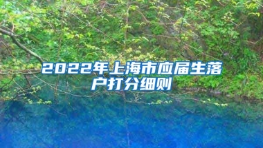 2022年上海市应届生落户打分细则