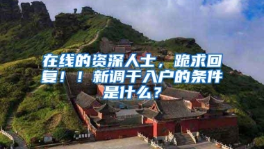 在线的资深人士，跪求回复！！新调干入户的条件是什么？