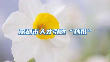 深圳市人才引进“秒批”