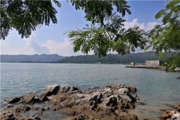 办理不到深圳集体户口是什么你应该感到难过，如果有人轻易得到了！