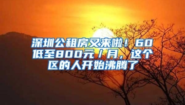 深圳公租房又来啦！60㎡低至800元／月，这个区的人开始沸腾了