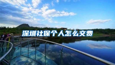 深圳社保个人怎么交费