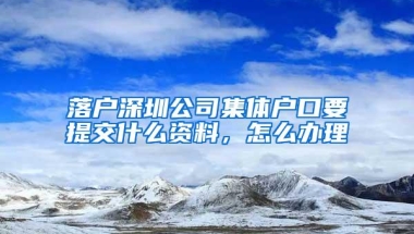 落户深圳公司集体户口要提交什么资料，怎么办理