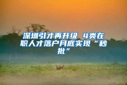 深圳引才再升级 4类在职人才落户月底实现“秒批”