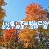 （收藏）不知道自己的档案去了哪里？值得一看