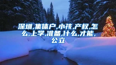 深圳,集体户,小孩,产权,怎么,上学,准备,什么,才能,公立