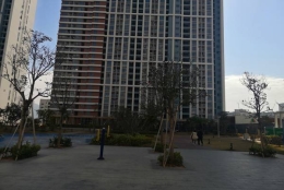 为什么你有了解在深圳留学生怎么落户口新政策，但还不会应对方法？