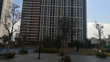 为什么你有了解在深圳留学生怎么落户口新政策，但还不会应对方法？