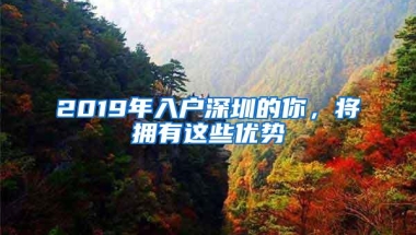 2019年入户深圳的你，将拥有这些优势