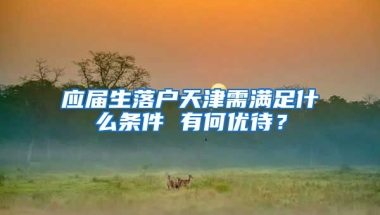 应届生落户天津需满足什么条件 有何优待？