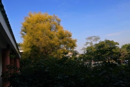 你很少见过这么简单的留学生办理深圳户口攻略信息，大多数人是如何得到的呢？