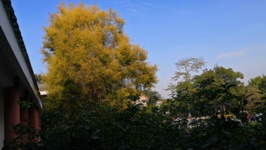 你很少见过这么简单的留学生办理深圳户口攻略信息，大多数人是如何得到的呢？