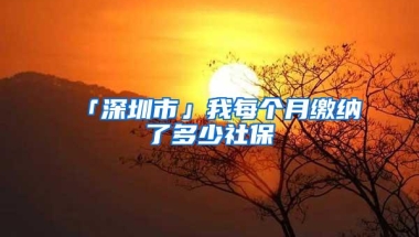 「深圳市」我每个月缴纳了多少社保