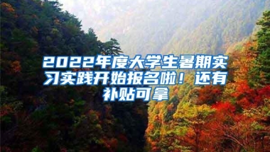 2022年度大学生暑期实习实践开始报名啦！还有补贴可拿→