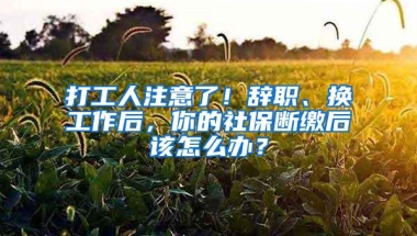 打工人注意了！辞职、换工作后，你的社保断缴后该怎么办？