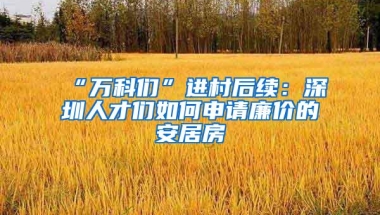 “万科们”进村后续：深圳人才们如何申请廉价的安居房
