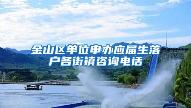 金山区单位申办应届生落户各街镇咨询电话