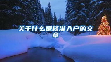 关于什么是核准入户的文章