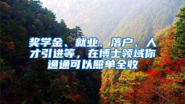 奖学金、就业、落户、人才引进等，在博士领域你通通可以照单全收