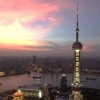 上海落户积分：这六大落户渠道，哪个才是最适合你的？