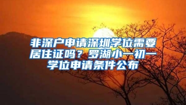 非深户申请深圳学位需要居住证吗？罗湖小一初一学位申请条件公布