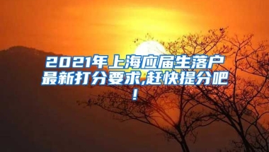 2021年上海应届生落户最新打分要求,赶快提分吧!