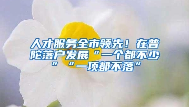 人才服务全市领先！在普陀落户发展“一个都不少”“一项都不落”