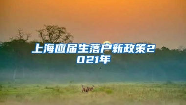 上海应届生落户新政策2021年