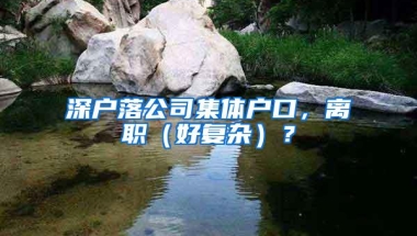 深户落公司集体户口，离职（好复杂）？