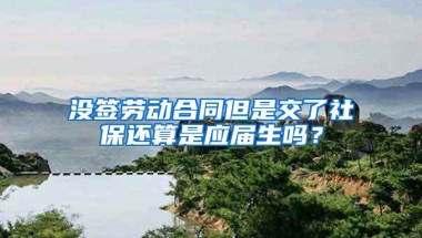 没签劳动合同但是交了社保还算是应届生吗？