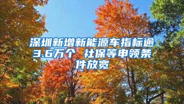 深圳新增新能源车指标逾3.6万个 社保等申领条件放宽