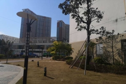 简单快速了解深圳人才市场集体户口孩子怎么入户！