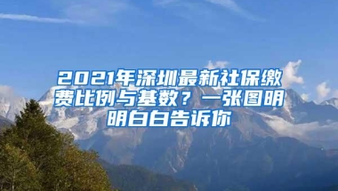 2021年深圳最新社保缴费比例与基数？一张图明明白白告诉你