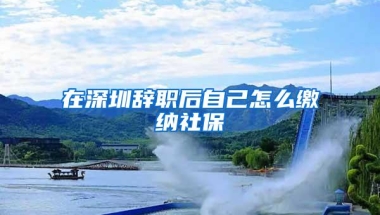 在深圳辞职后自己怎么缴纳社保