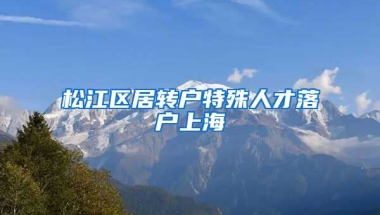 松江区居转户特殊人才落户上海