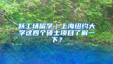 跃工场留学｜上海纽约大学这四个硕士项目了解一下？