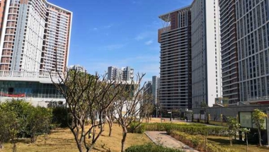 揭密！2022留学生落户深圳政策为什么这么火？