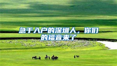 急于入户的深圳人，你们的福音来了