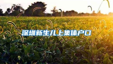深圳新生儿上集体户口