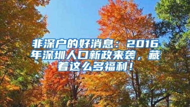 非深户的好消息：2016年深圳人口新政来袭，藏着这么多福利！