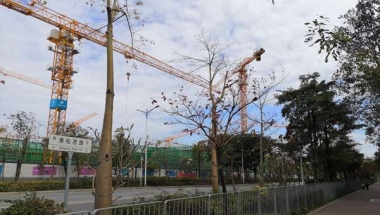 成功是必然：你应该知道的深圳集体户口小孩怎么落户！