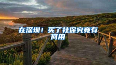 在深圳！买了社保究竟有何用