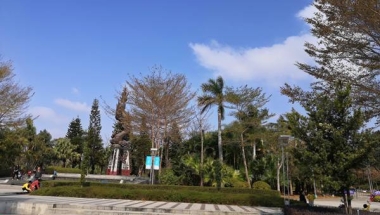 分享｜应对深圳市留学生入户知乎可能会遇到的问题
